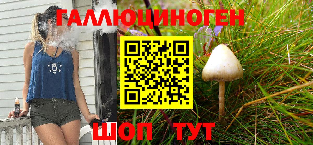 Галлюциногенные грибы Psilocybine cubensis Копейск