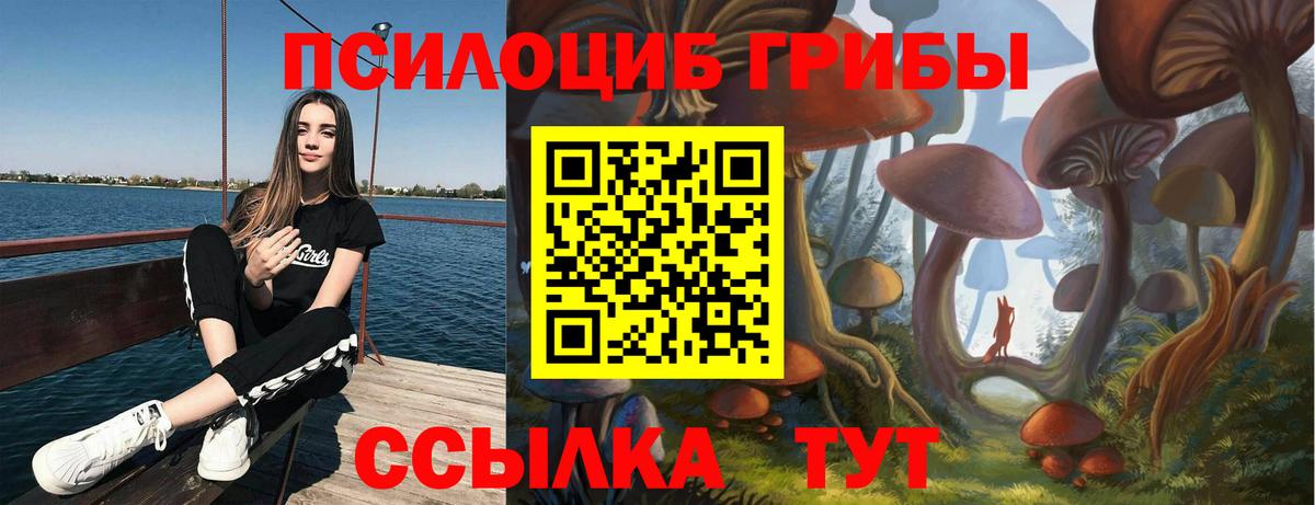 Копейск  Псилоцибиновые грибы Cubensis  Вход с VPN  Псилоцибиновые грибы MAGIC MUSHROOMS 